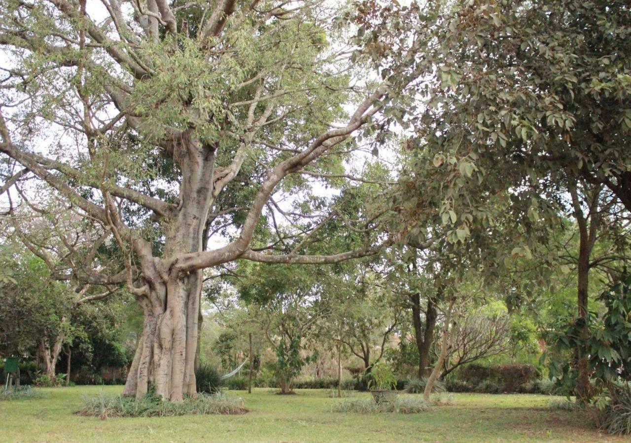 Barefoot Lodge And Safaris - Malawi ลิลองเว ภายนอก รูปภาพ