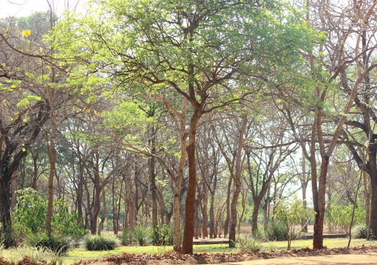 Barefoot Lodge And Safaris - Malawi ลิลองเว ภายนอก รูปภาพ
